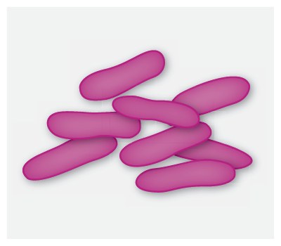 Stäbchenförmige Bakterien